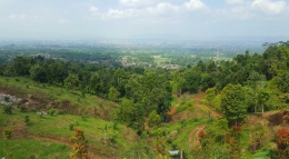 Panorama dari atas bukit di Caping Park (dok. pri).
