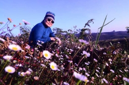 Emak Sumi berfoto dengan bunga liar Daisy khas Gunung Prau di sekitar lokasi perkemahan Gunung Prau. (Foto: Dokpri.)
