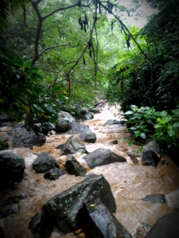 Coklat: Guyuran hujan membawa lumpur ikut berwisata dengan aliran air
