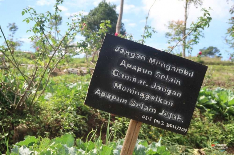 Sadar Wisata (dokpri)