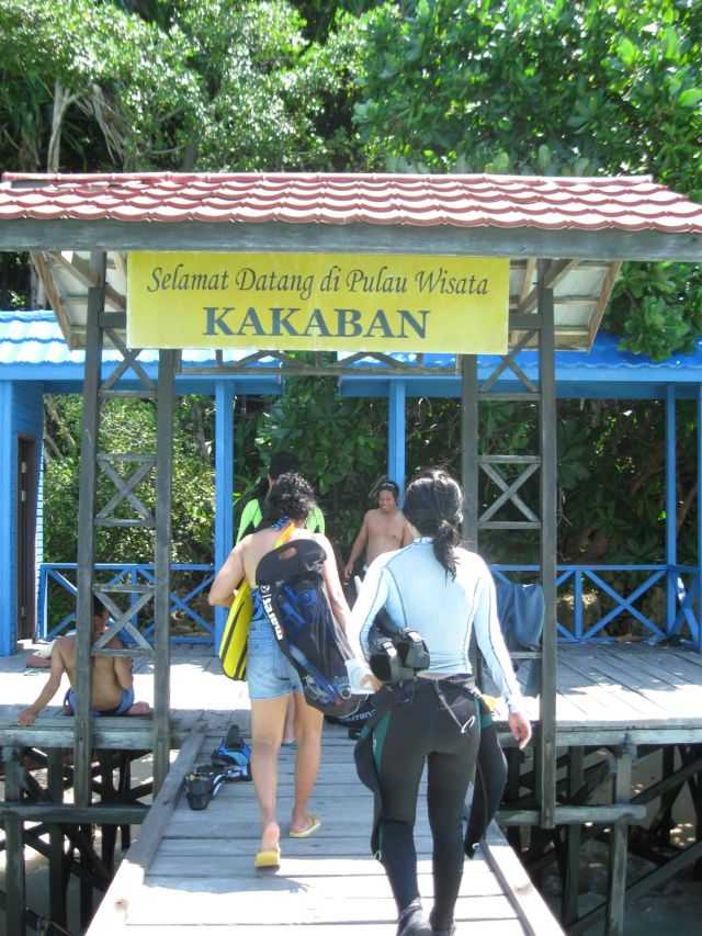 Setelah hari sebelumnya hampir seharian penuh melakukan penerbangan dan perjalanan Jakarta ke Derawan, pagi-pagi benar kami berangkat ke Kakaban sehingga fiisik harus prima (dokpri)