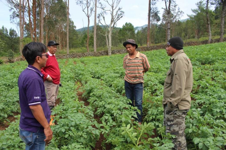 Tim PLTMH BP2LHK Makassar melihat kondisi tanaman Kentang daeng Harun di dusun Babangeng Kabupaten Bantaeng (Dokumentasi Pribadi)