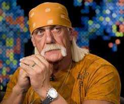 Hulk Hogan. Sumber : Post and Courier