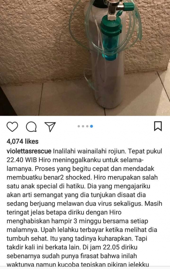 instagram: Violettarescue