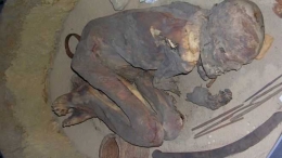 Mumi yang digunakan dalam menelususi bahan yang digunakan dalam proses mumifikasi. Sumber: Stephen Buckley/ University of York 