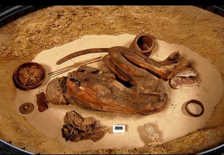 Mumi koleksi museum Turin yang diugunakan untuk mengungkap rahasia bahan yang digunakan dalam mumifikasi. Sumber: Stephen Buckley/ University of York 