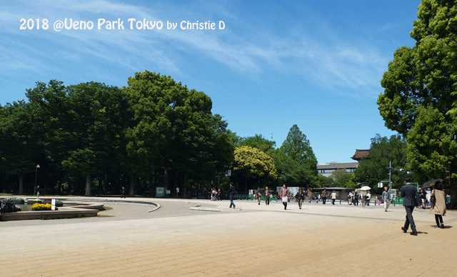 Dokumentasi pribadi | Ueno Park, taman wisata edukasi 