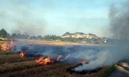 gambar ilustrasi sawah terbakar (sumber: qiyasaad.com)
