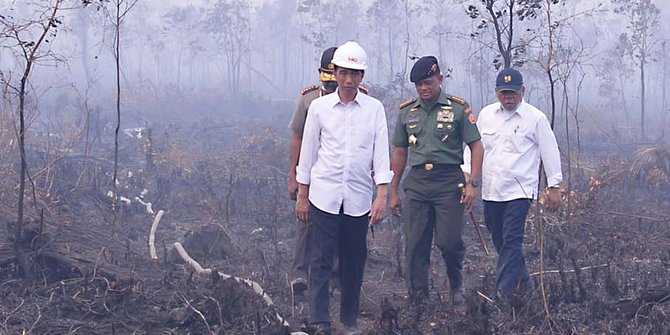 Jokowi saat tinjau langsung ke lokasi karhutla (Foto: merdeka.com)
