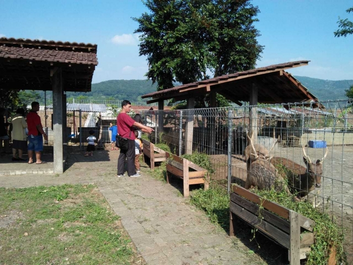 Tempat penangkaran Rusa (dok.pribadi)