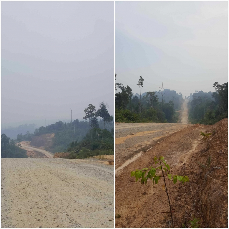 Jalan Sungai Bening menuju Temajuk berbukit-bukit cukup tinggi. Sumber: Koleksi pribadi