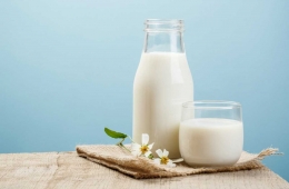 kandungan gizi pada susu | Shutterstock.com