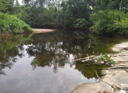 Sungai Mengkilau, sebagai rencana lokasi pembangunan listrik PLTMH di Dusun Mengkilau (Dokumen Pribadi)