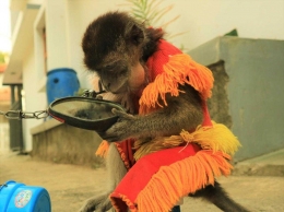 Topeng Monyet - Berhias Cermin. Foto J.Krisnomo