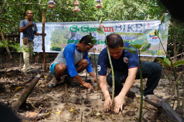 Hutan Bakau Terih (Foto : dok pribadi)
