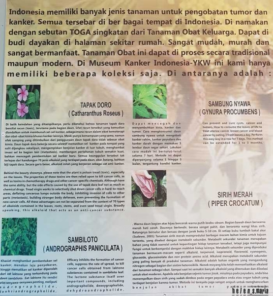 Museum Kanker Indonesia