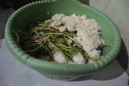 Sampah Sisa Makanan Yang Terbuang Sebagai Bahan Utama Pembuatan Pupuk Kompos Takakura (dok. pribadi)