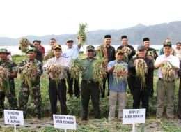 Gambar, Kepala Dinas Perkebunan Aceh bersama Bupati Aceh Tengah dan Dandim 0106/Aceh Tengah melakukan panen bawang merah di Kecamatan Lut Tawar, Aceh Tengah (Doc. FMT)