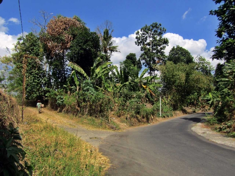 Suasana khas pedesaan. Padahal, beberapa meter dari lokasi ini penuh dengan kafe, warung, dan fotokipoian. - Dokumen pribadi.