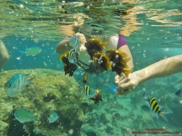 Snorkeling Pulau Seribu Jakarta, dokpri
