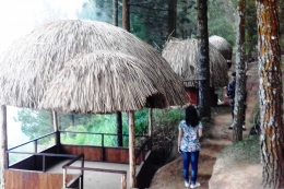 Rumah Papua di Hutan Pinus, samping Taman Kelinci, Kota Batu|Dok. Pribadi