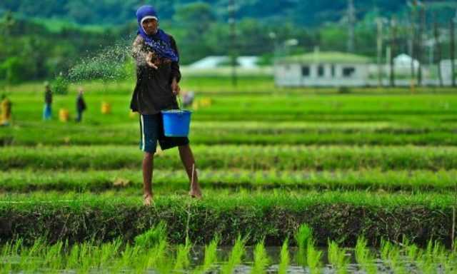 Apakah pembangunan harus selalu mengorbankan pertanian? (sumber gambar: agribisnis.co.id)