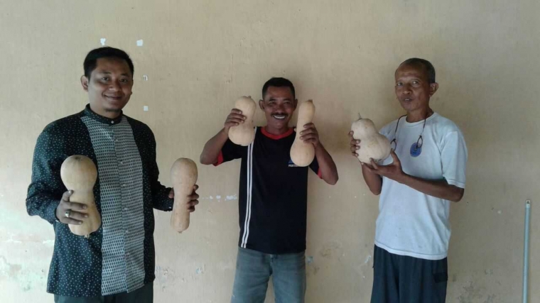 Hasil Memetik Langsung Buah Labu Madu. Doc Bayu