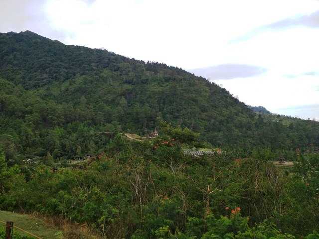 View dari Puncak Nirwana. Di kejauhan tampak atap Candi III dan Candi II (dok. pribadi)
