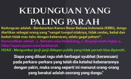 Kedunguan dan Sakit Jiwa (Dok.Pribadi penulis)