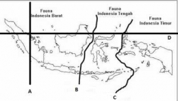 Peta fauna Indonesia barat dan timur (Dok. Didno)