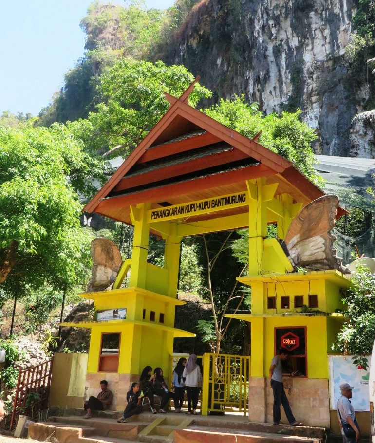 Penangkaran Kupu-kupu, Bantimurung (koleksi pribadi)