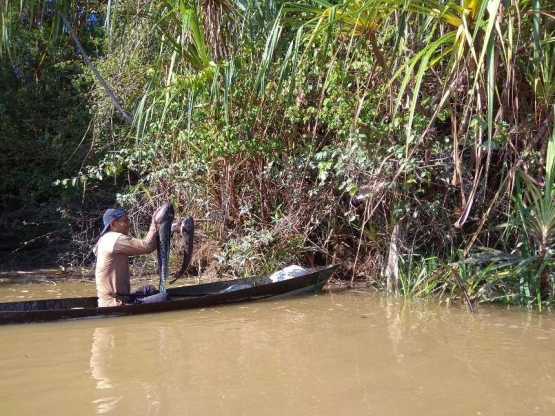 Nelayan Tua dan Ikan Toman | Dok.pribadi