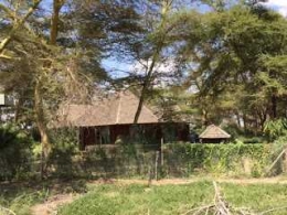 Cottage Kamar Saya Di Amboseli Serena Hotel, dokpri
