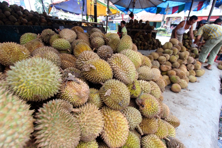 Durian (dok. pri)