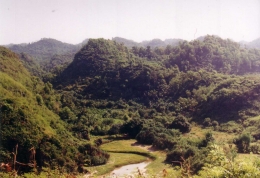 Panorama Geopark Gunung Sewu dilihat dari sisi Kabupaten Gunung Kidul (jogjadaily.com).