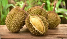 Buah Durian (walltoyou.com)