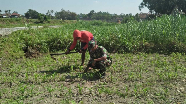babinsa Koramil Garum dan petani bersihkan rumput|Dokumentasi pribadi