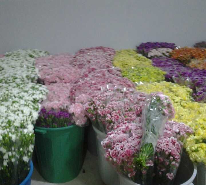 Hasil panen bunga di Antalya (dok.bayram)