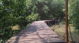 Jembatan kayu