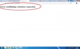 Error establishing a database connection web bkn.go.id| Screenshot dokumentasi pribadi