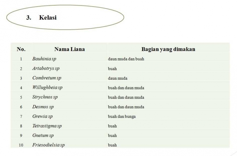 Informasi pakan satwa dari liana yang disukai oleh Kelasi (Presbytes Rubicunda). Dok. Foto capture dari presentasi Riduwan