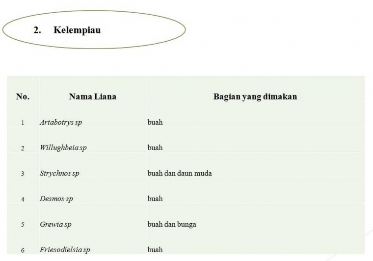 Informasi pakan satwa dari liana yang disukai oleh Kelempiau (Hilobates mulleri) Dok. Foto capture dari presentasi Riduwan