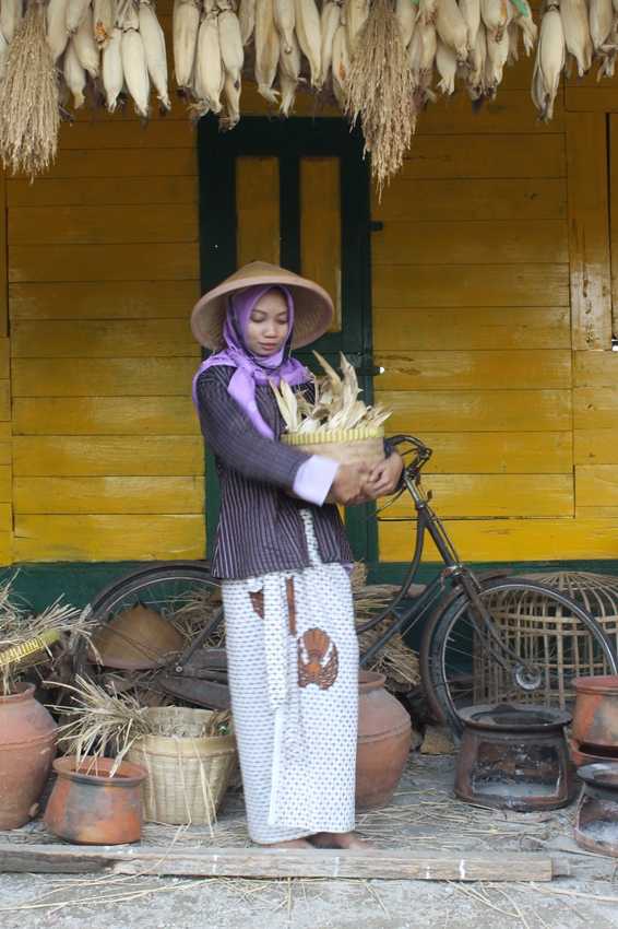 Sensasi Padi Gabah dan Nasi Disawa Pawon Jogja Sensasi Padi Gabah dan Nasi Disawa Pawon Jogja