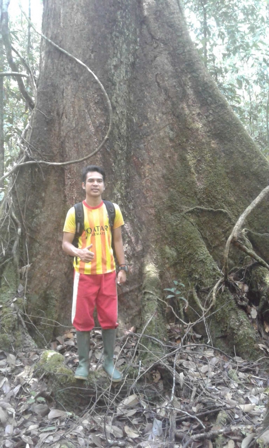 Riduwan saat melakukan penelitian di Taman Nasional Gunung Palung. Foto dok. Riduwan