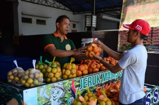Jeruk manis sadu (Jema's) kini menjadi buah tangan para pengunjung yang datang ke Kabupaten Bandung. (Foto: Imam Wiguna)