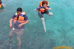 Snorkeling Pulau Pantara (dokpri)