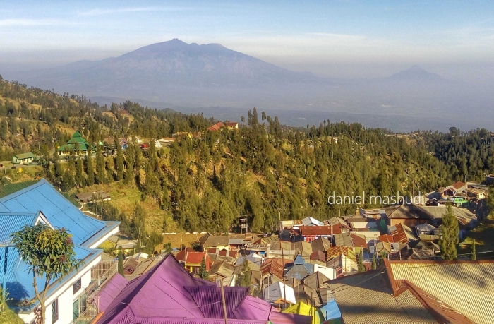 Kampung Kelir Tosari, Jujugan Wisata Baru di Kawasan Bromo  Kampung Kelir Tosari, Jujugan Wisata Baru di Kawasan Bromo