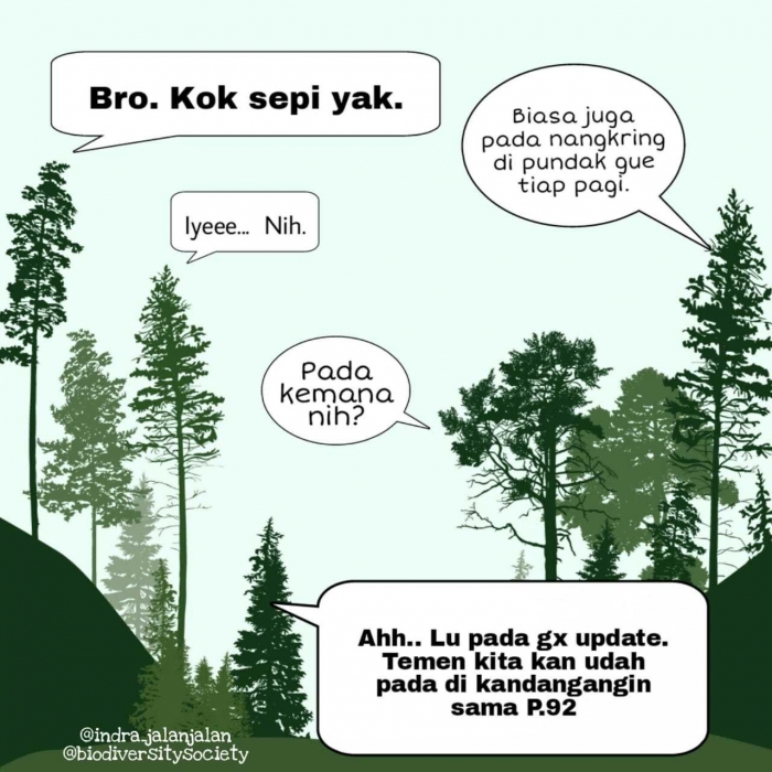 Keresahan akan nasib burung saat ini. @indra_ jalan-jalan @biodiversitysociety