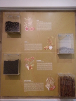 Rempah-rempah yang diperdagangkan oleh Belanda ketika datang ke Indonesia
