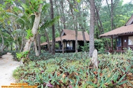 Cottage Bungalow Pulau Pelangi